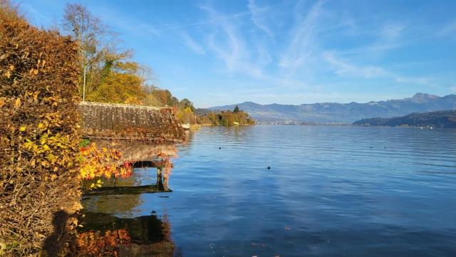 immer über offenes Gelände, den Blick auf das glitzernde Wasser gerichtet, wandern wir weiter Richtung Schmerikon