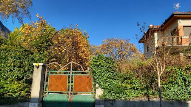 20241114_131113.jpg