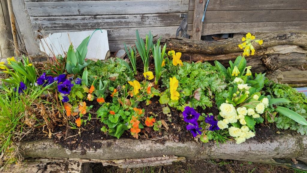 es ist Frühling