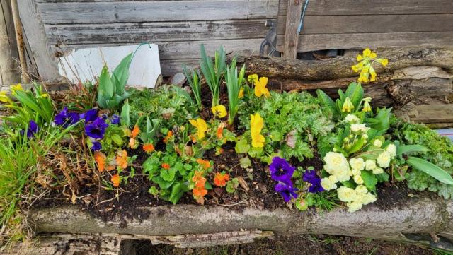 es ist Frühling