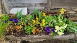 es ist Frühling