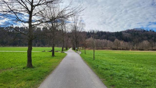 weiter geht es über die Gross Allmein zum Seitenkanal des Linthkanal