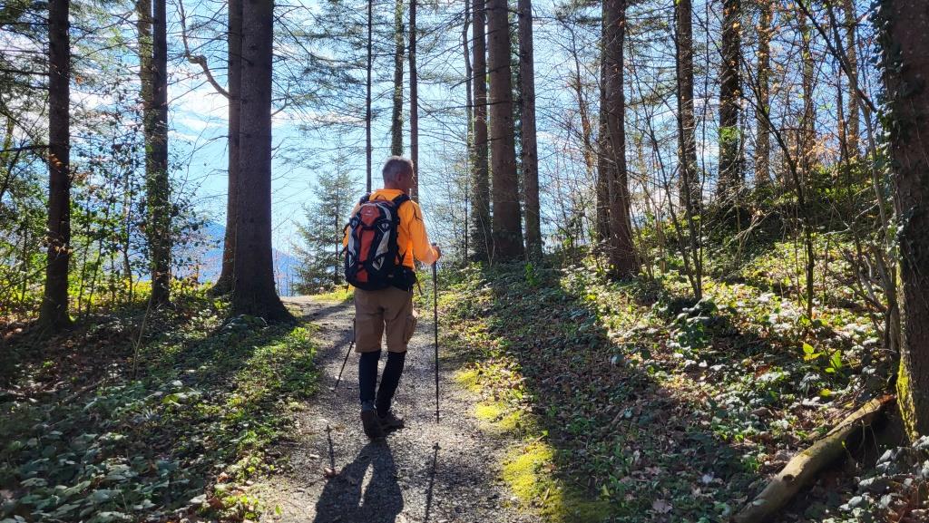 kurz nach Schloss Grynau führt uns der Wanderweg zum Buechberg hinauf