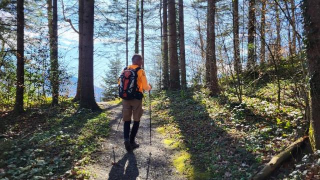 kurz nach Schloss Grynau führt uns der Wanderweg zum Buechberg hinauf