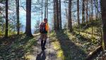 kurz nach Schloss Grynau führt uns der Wanderweg zum Buechberg hinauf