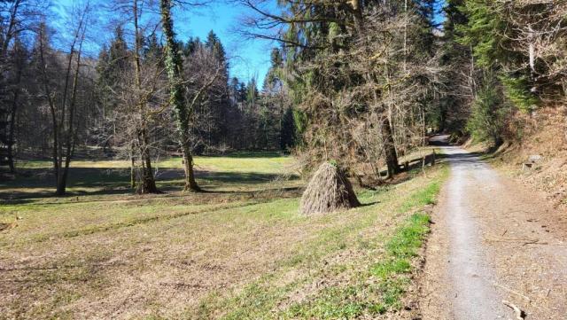 ...geht es rechts am Schrötermoss vorbei