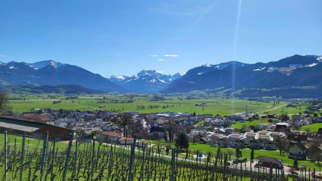 Blick hinunter nach Tuggen, die Lintheben und dahinter in die Glarner Alpen, ein Gebiet das wir sehr gut kennen