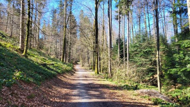 alles am Rücken des Buechberg entlang, wandern wir Richtung Nuolen