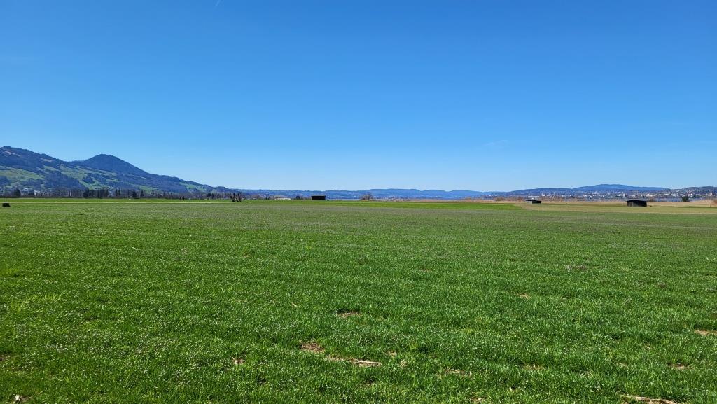 wir erreichen das Naturschutzgebiet Nuoler Ried