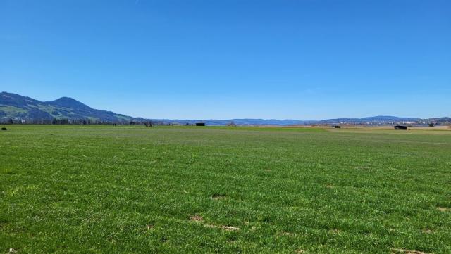 wir erreichen das Naturschutzgebiet Nuoler Ried