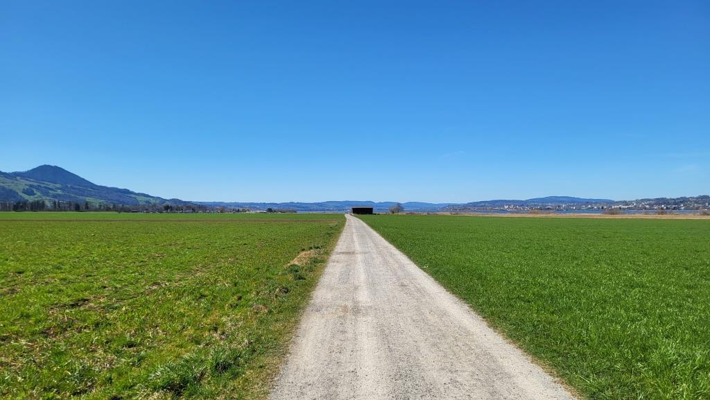 wir durchqueren das Naturschutzgebiet Nuoler Ried
