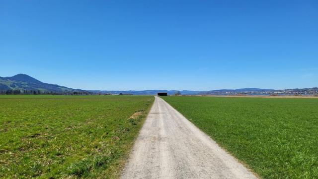 wir durchqueren das Naturschutzgebiet Nuoler Ried