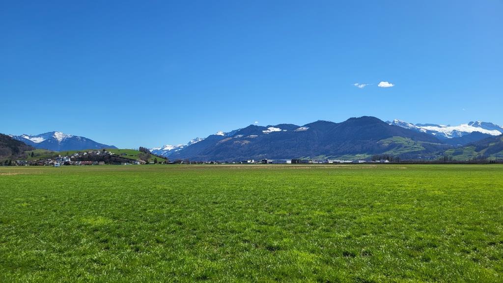 was für eine Aussicht! Links der Speer, die St.Galler und Glarner Alpen. Viele Berge haben wir bestiegen