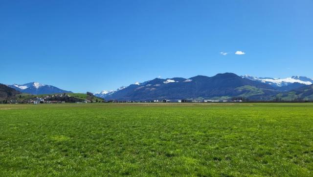 was für eine Aussicht! Links der Speer, die St.Galler und Glarner Alpen. Viele Berge haben wir bestiegen