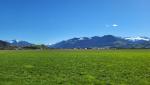 was für eine Aussicht! Links der Speer, die St.Galler und Glarner Alpen. Viele Berge haben wir bestiegen