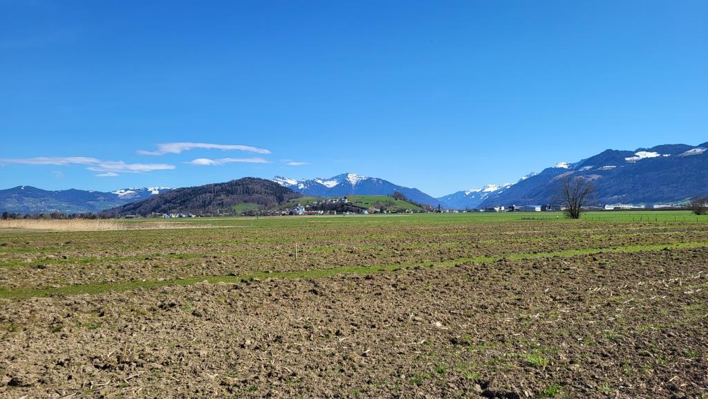wir blicken nach Nuolen zurück. Dahinter der Speer. Dort oben standen wir auch schon