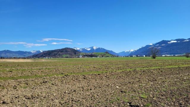 wir blicken nach Nuolen zurück. Dahinter der Speer. Dort oben standen wir auch schon