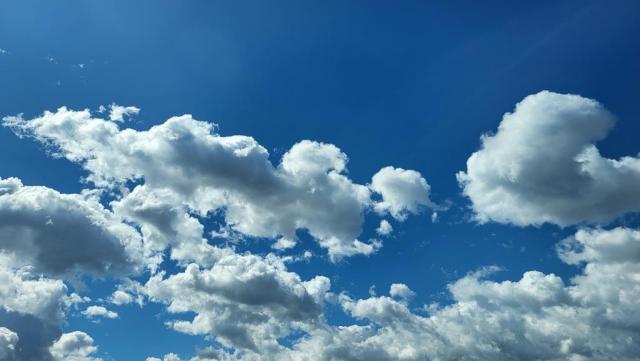 20250331_130326.jpg
