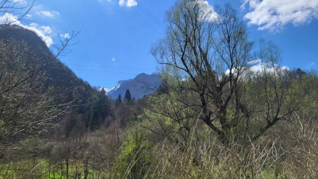 20250402_130514.jpg