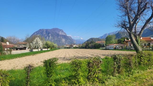 20250404_101343.jpg