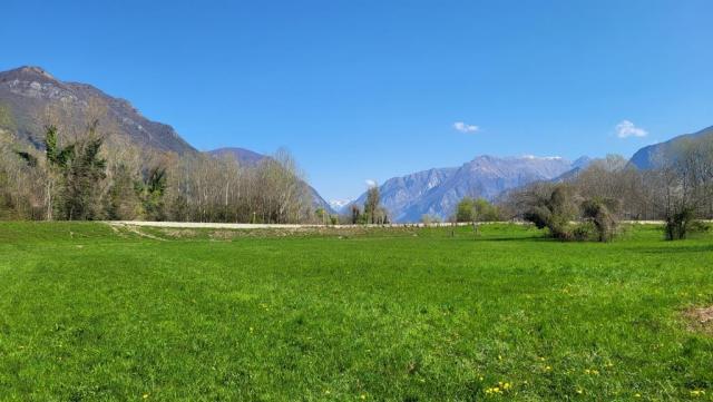 20250404_104838.jpg