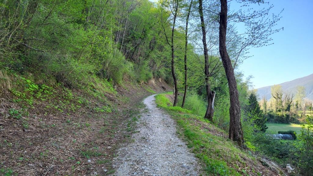 20250404_105757.jpg