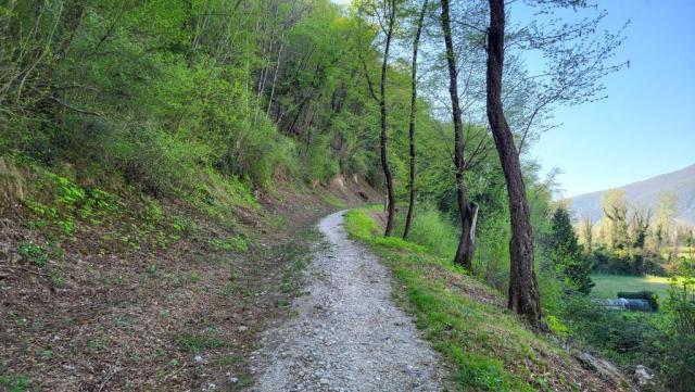 20250404_105757.jpg