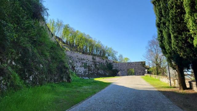 20250404_110740.jpg