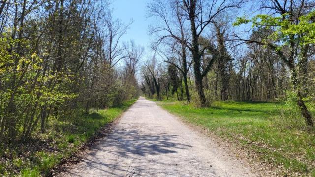 20250404_125531.jpg