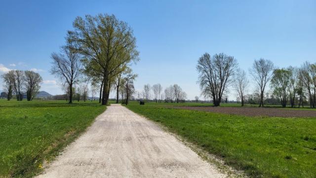 20250404_131449.jpg