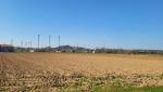 20250405_095648.jpg