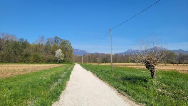 20250405_100602.jpg