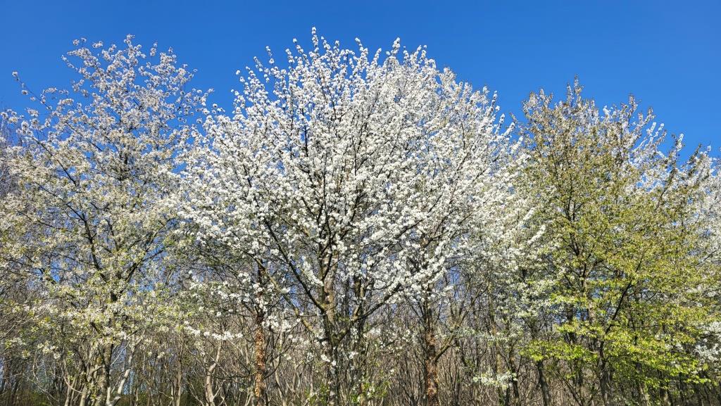 20250405_102635.jpg