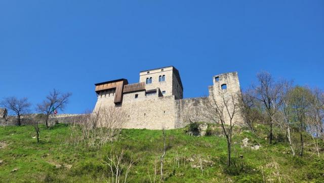 20250405_121940.jpg