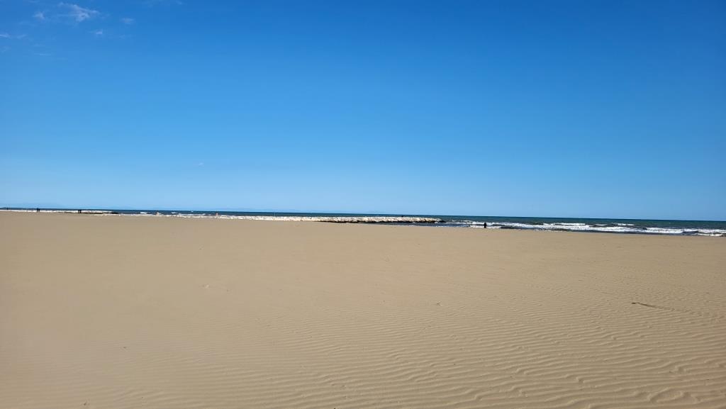 20250406_171021.jpg