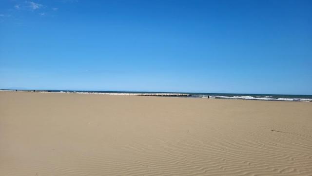 20250406_171021.jpg