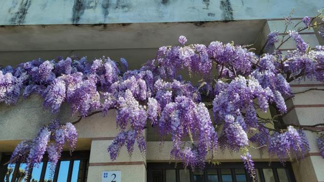 20250407_120028.jpg