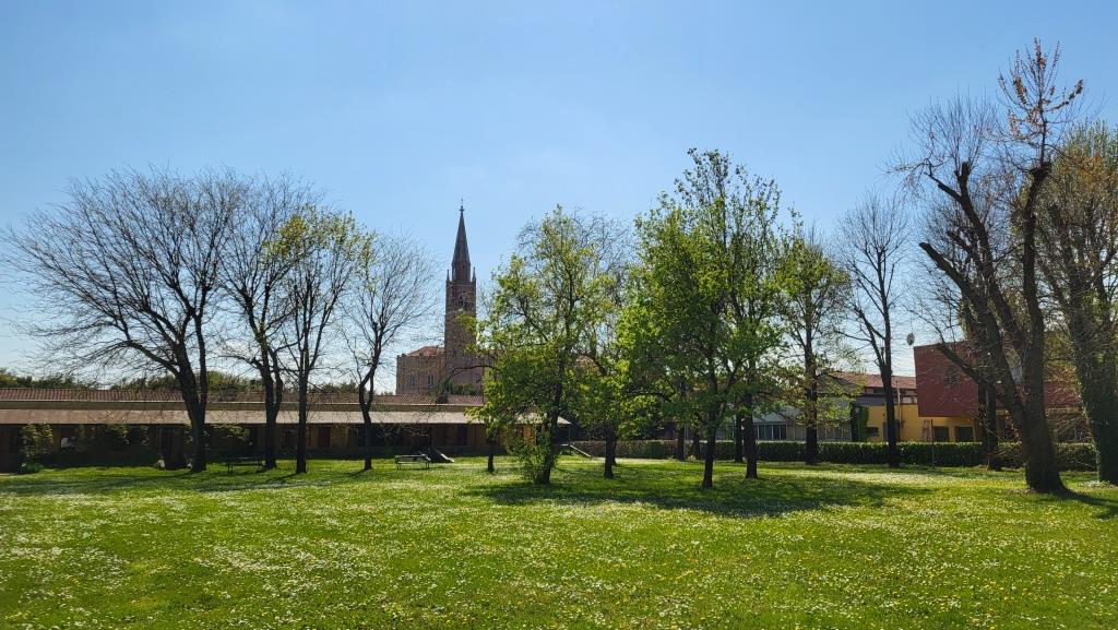 20250408_141047.jpg