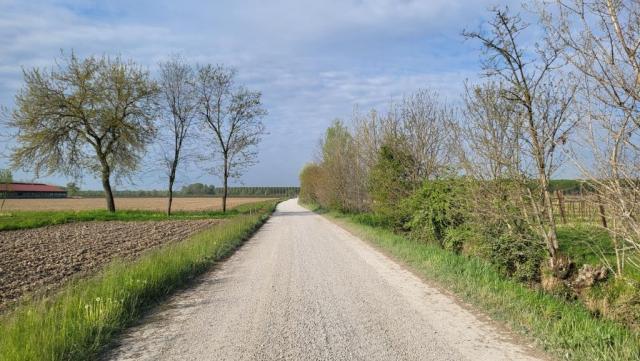 20250409_090433.jpg
