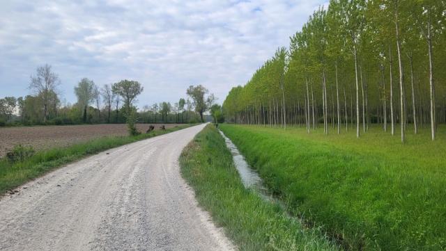 20250409_091957.jpg