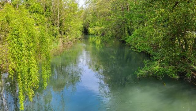 20250409_125713.jpg