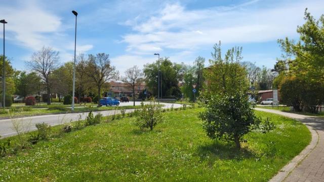 20250409_140506.jpg