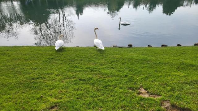 20250410_093828.jpg