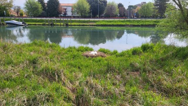 20250410_101554.jpg