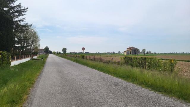 20250410_104740.jpg
