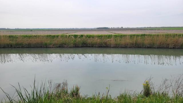 20250410_110542.jpg