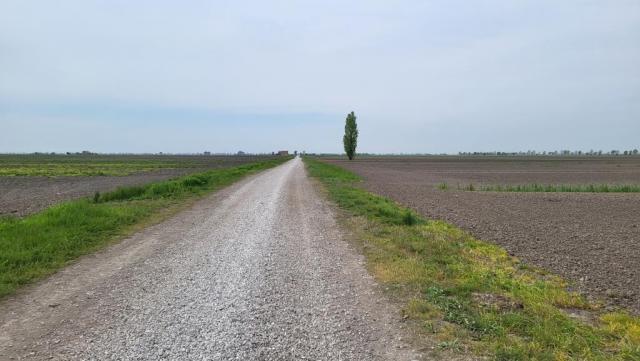 20250410_112315.jpg
