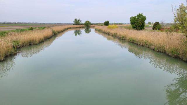 20250410_120607.jpg