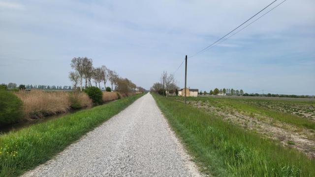 20250410_122116.jpg