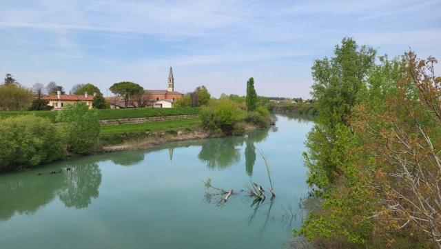 20250410_132955.jpg